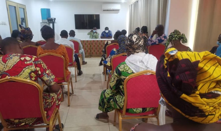 A-P Togo : PLAIDOYER DES FEMMES COMMERCANTES AUPRES DES INSTUTITIONS DES MOCRO-FINANCES, A TRAVERS LA FEDERATION DES INSTITUTIONS DE MICRO FINANCES DU TOGO POUR ALLEGER LES MECANISMES D’OCTROIE DE CREDITS AUX FEMMES COMMERCANTES